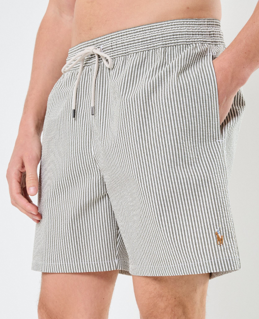 PRL STRIPE SWIM SHORTS